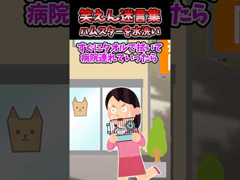 😟「病気が移ったら大変」→コトメがうちのハムスターを水洗いしたので…【2chスカッと】 #2ch