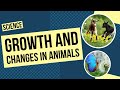 Animal Life Cycles and Adaptations