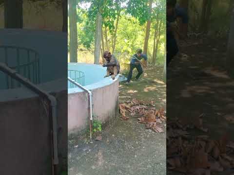 rabbit catching ???#shortsreels #shortsvideo #viralreels #viralvideo #trending