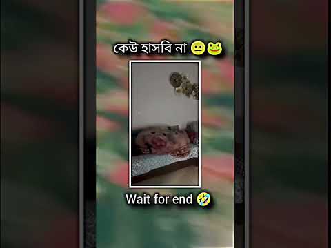 কেউ হাসবেন না, 🤣🤣🤣 #song #music #love #bollywood #newsong #funny #newmusic #comedy #newmusicrelease