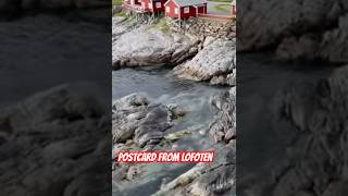10,000 Photographers Can't Be Wrong! #hamnøy #lofoten