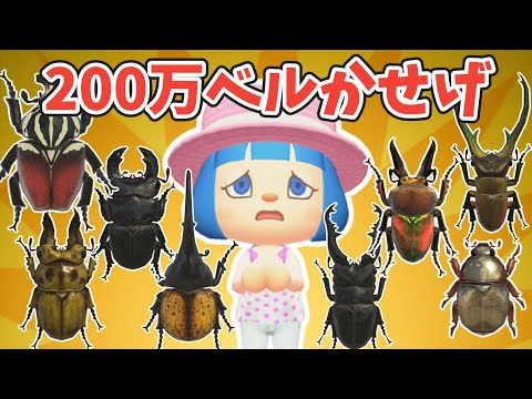 【あつ森お金かせぎ】高い虫200匹つかまえて200万ベルかせげ【ゆっくり実況】