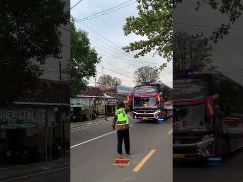 Dilarang Basuri🤣 #tunggaljaya #tunggaljayatransport #blackpink