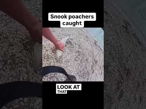 ๐คฏ Sub for part 2 ๐จ #Fishing #shorts #fish #outdoors #ocean #boat #boats #wild