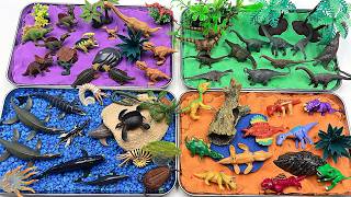 4 Dinosaur World Diorama For Dinosaurs - Ocean Dinosaurs, Dino Eggs, Sauropods, Dino puzzles 