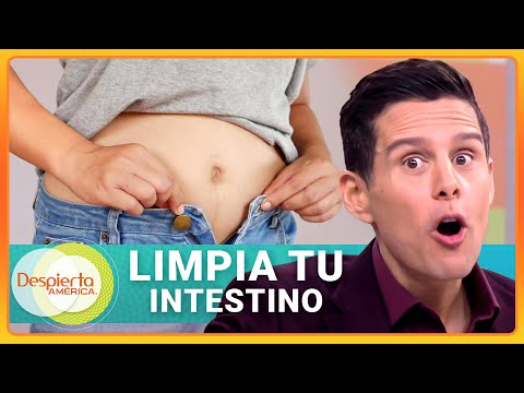 Un kit perfecto para mejorar tu digestión y aplanar la barriguita | Gangas & Deals