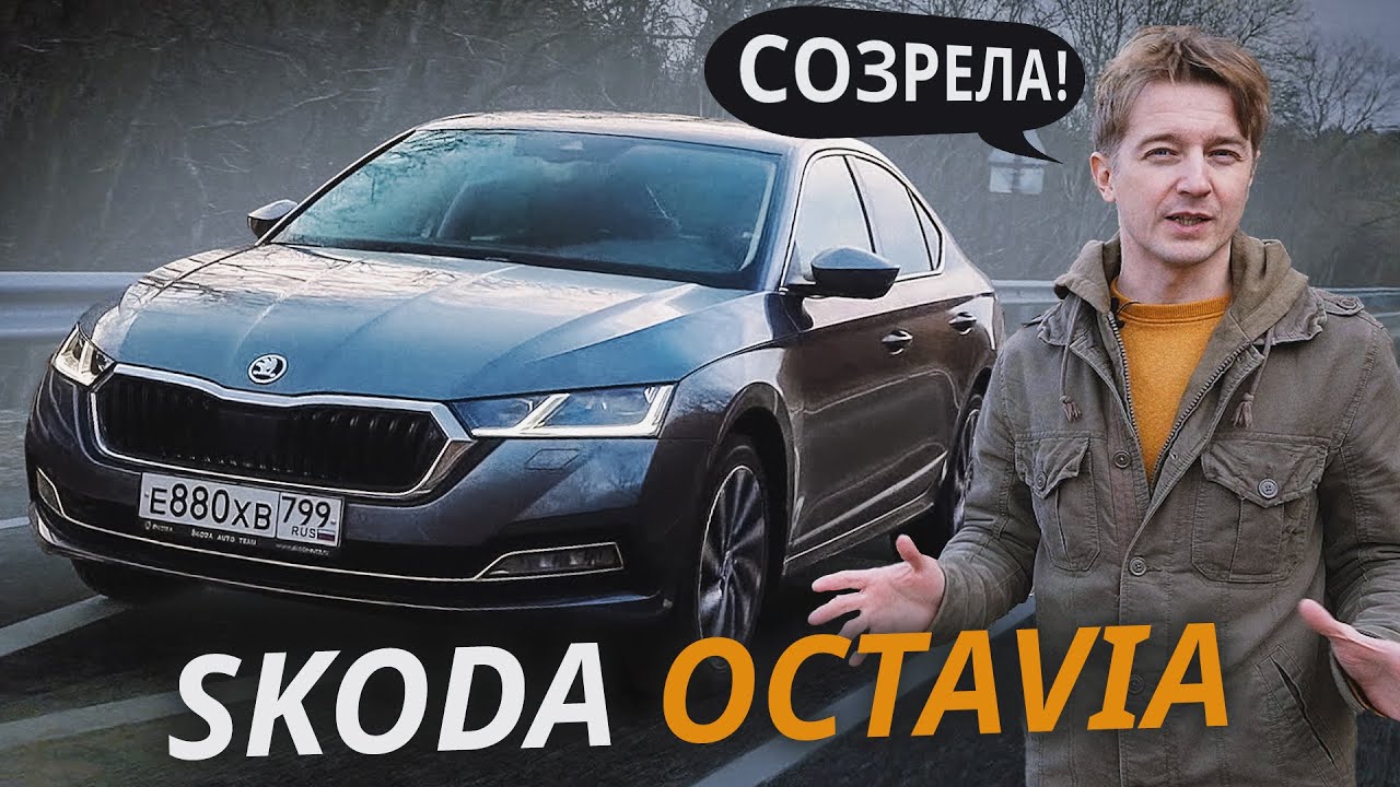 Она вам больше не бюджетник! Skoda Octavia A8
