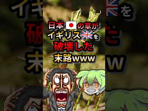 日本のイタドリがイギリスを破壊した末路www#ずんだもん #ゆっくり解説 #動物