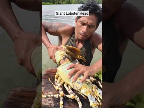 Eating RAW Lobster Head with SECRET Sauce! 🤯