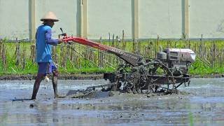 How to Level Watered Land Perfectly with a Hand Tractor and Leveler Attachments