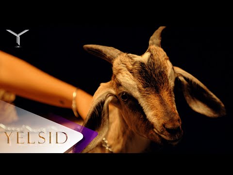 Yelsid - 1K BRON (Video Oficial)