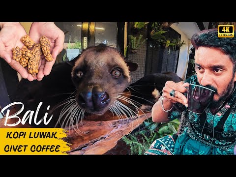 I tried the most expensive coffee in Bali... here's what happened 😆🏝️