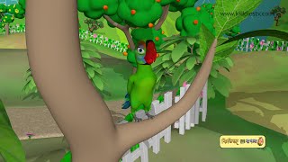 বাচ্চাদের জন্য আমি টোটা গান | Aami Tota | Parrot Song in Bangla | KiddiesTV Bangla