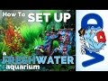 Aquarium Setup and Maintenance Essentials