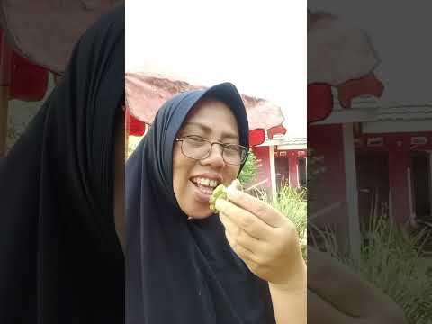 Makan Buah Srikaya Hasil Panen