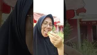 Makan Buah Srikaya Hasil Panen