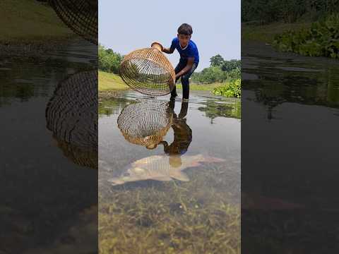 Wow! Amazing Bamboo Tools Polo Fishing Videos In The Village River #fishing #amazing #ytshorts