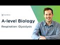 Glycolysis Concepts and Processes