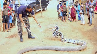 बनसुंदरी भारत का सबसे अलग दुर्लब सांप, देखिए बार बार काटने वाला आक्रामक सांप copper headed Trinket