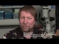 Plant Light Detection and Growth