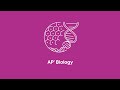 Exploring DNA Structure and Replication