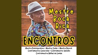 Mandei Caiar Meu Sobrado / Mandaleco / Paranaê / Adeus Santo Amaro / Leleleo / Catarina