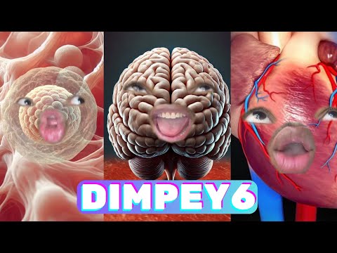 *2+ HOUR* New Best Dimpey6 Funny Shorts 2025 - New Funny Tik Tok Memes - TikTok Famous