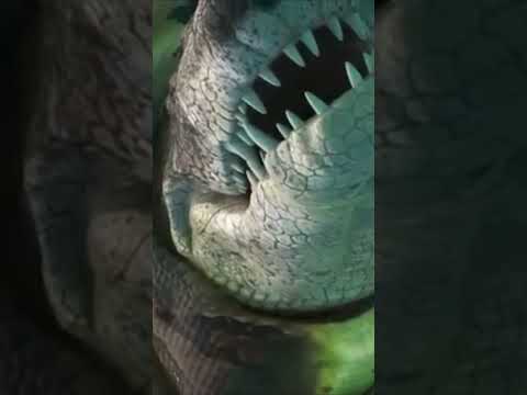 Le grand serpent géant des mers #documentaire #science #dinosaures