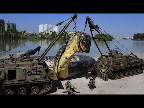 10 Schockierend große Tiere, die per Zufall gefunden wurden!