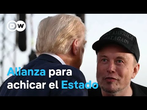 Elon Musk encabeza la avanzada antirregulatroria del próximo Gobierno de Donald Trump