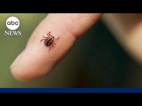 YouTube video thumbnail: New Lyme Disease Vaccine Could Help With Disease Prevention