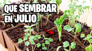 ¿Qué Sembrar en JULIO? 🌱 Calendario de Siembra 2025 + Tareas del Mes | La Huerta de Iván