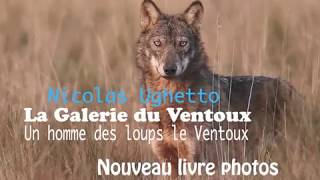 galerie du ventoux loup