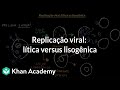 Viral Replication and Host Interaction