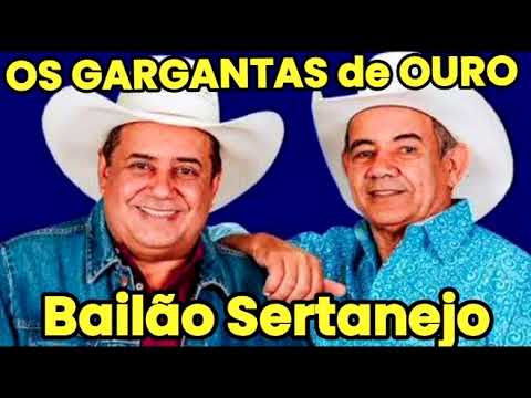 OS GARGANTAS DE OURO🏆SUCESSOS🕺 FORRÓ PRA DANÇAR AS MELHORES DO BAILÃO CAPIXABA 02