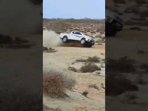 ظبي الصحراء وصل😍😍😎😘😎😘