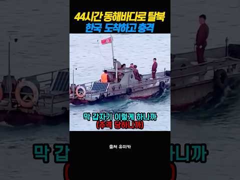 44시간 동해바다로  탈북한 북한 여성 한국 도착하고 충격