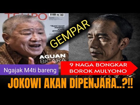JOKOWI TAMAT! AGUAN BUKA KARTU #jokowi #aguan #ikn #psn #pik2