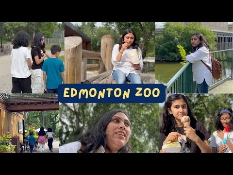 Edmonton Zoo Vlog