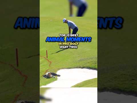 Top 13 Best Animal Moments in Pro Golf | Part 2