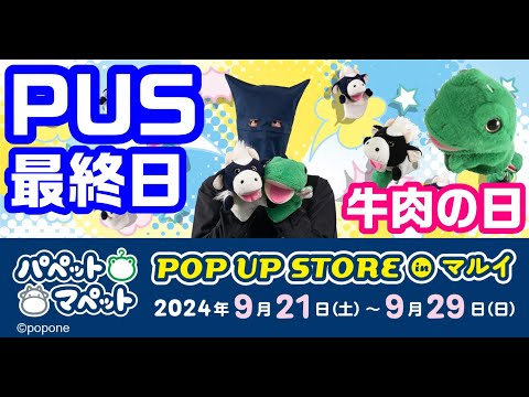 牛肉の日！ポップアップストア最終日！パペットマペットの前夜祭雑談生放送🐮🐸