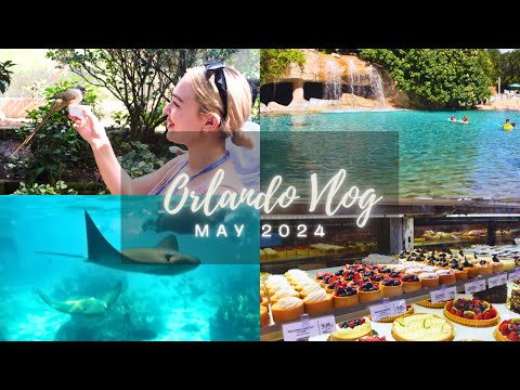 Orlando Vlog May 2024! | Discovery Cove | Whole Foods Supermarket