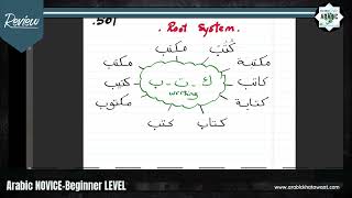 ✅MANDATORY Step for Arabic Beginners | Basic Steps to Understand the Root System
