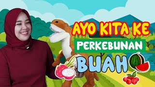 AYO KITA KE PERKEBUNAN BUAH - AG KIDS - KAK KINAN