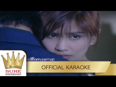 เจ็บนี้เพื่อเธอ – ฝน ธนสุนทร [KARAOKE OFFICIAL]