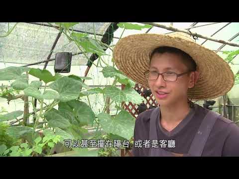 我們的島 第714集 請魚來種菜(2013-07-08) - YouTube