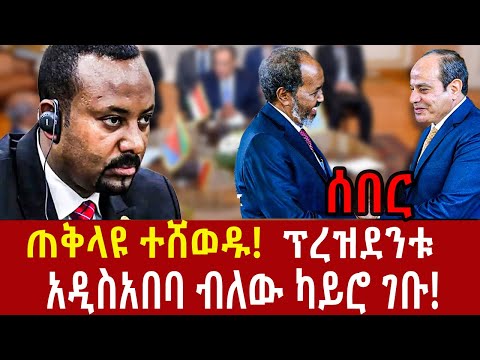 Ethiopia: ካይሮ የተደረገው የሚስጥር ስብሰባ Addis Agelgil