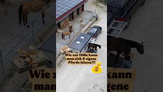 8 eigene PFERDE🐴 WIE kann man sich das LEISTEN?! 💰
