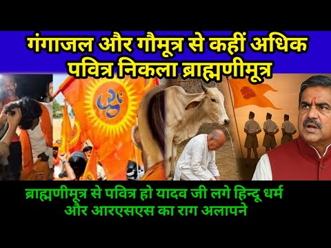 गंगाजल और गौमूत्र से कहीं अधिक पवित्र निकला ब्राह्मणी मूत्र। यादव जी करने लगे आरएसएस का गुणगान।