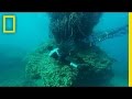 Marine Debris and Its Impact